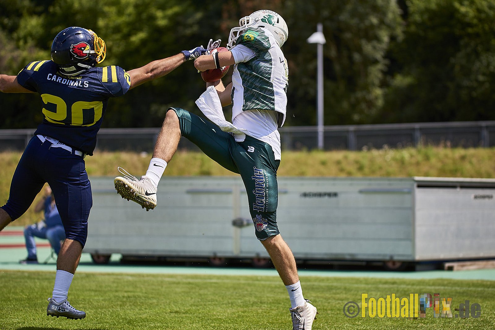 Essen Assindia Cardinals vs. Bielefeld Bulldogs - EssenAssindiaCardinalsVsBielefeldBulldogs
