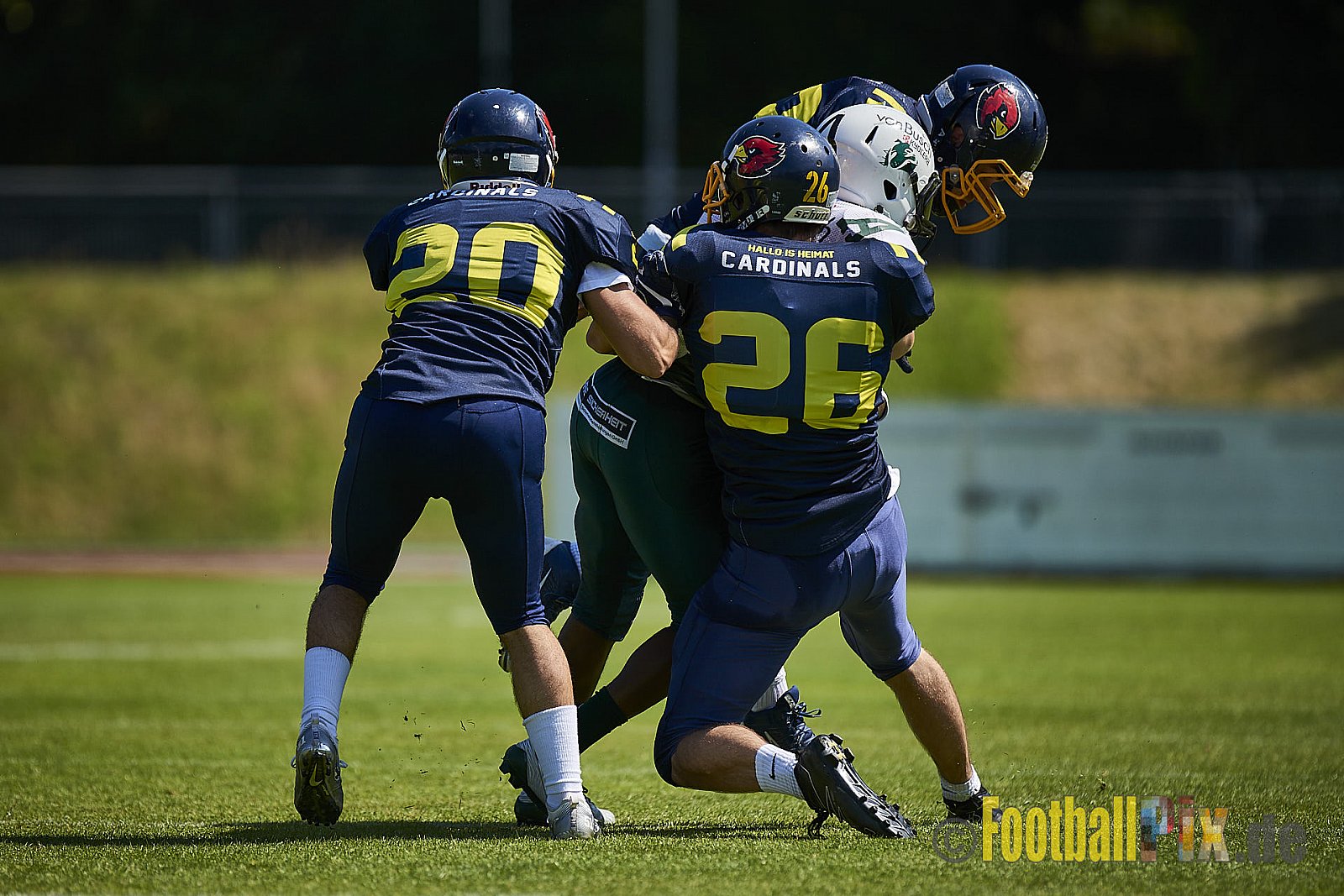 Essen Assindia Cardinals vs. Bielefeld Bulldogs - EssenAssindiaCardinalsVsBielefeldBulldogs
