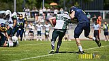 Essen Assindia Cardinals vs. Bielefeld Bulldogs - EssenAssindiaCardinalsVsBielefeldBulldogs