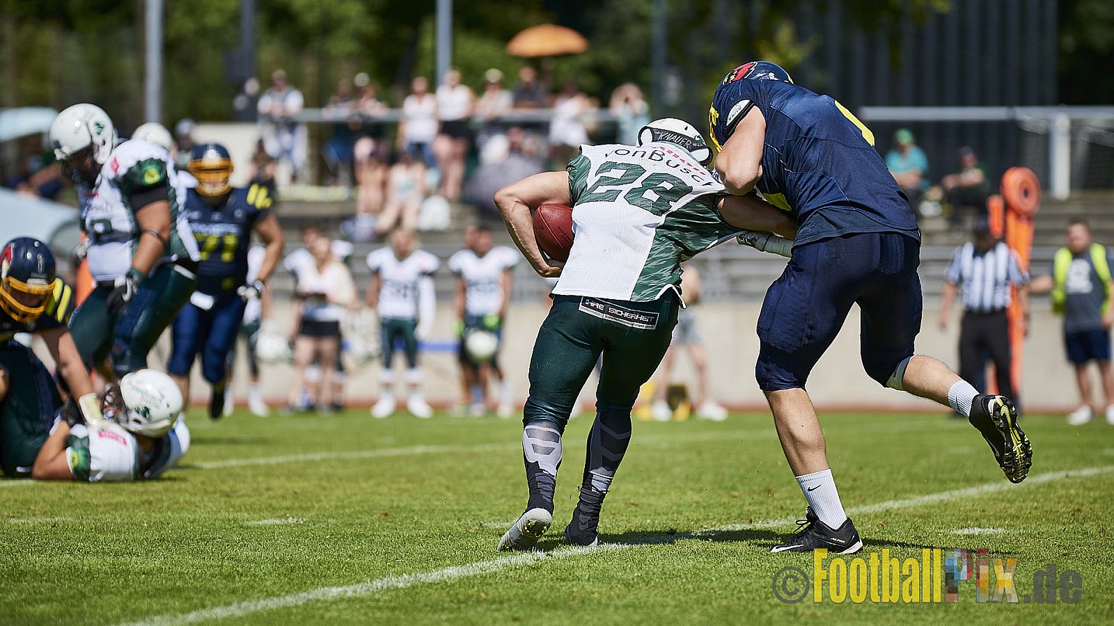 Essen Assindia Cardinals vs. Bielefeld Bulldogs - EssenAssindiaCardinalsVsBielefeldBulldogs