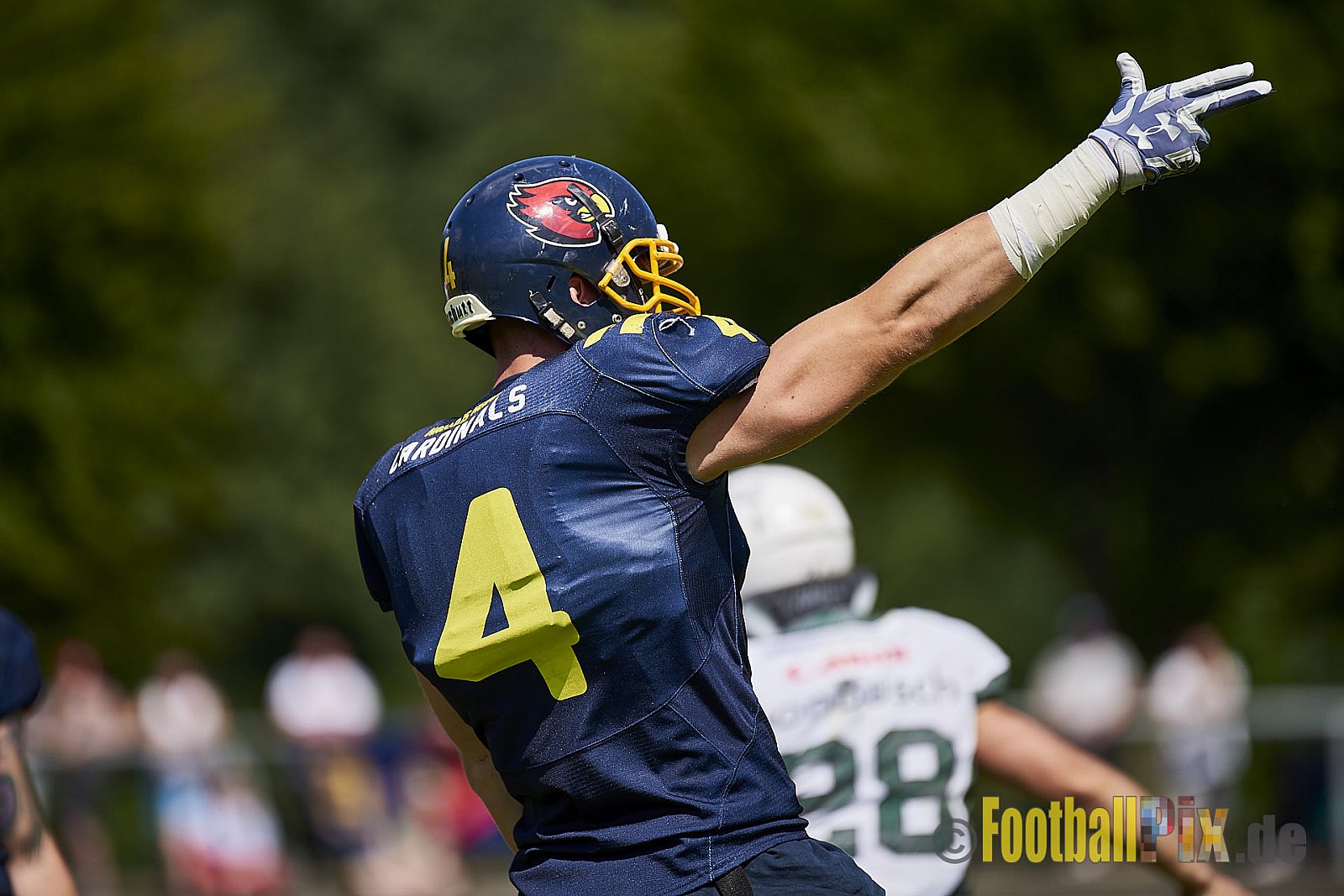 Essen Assindia Cardinals vs. Bielefeld Bulldogs - EssenAssindiaCardinalsVsBielefeldBulldogs