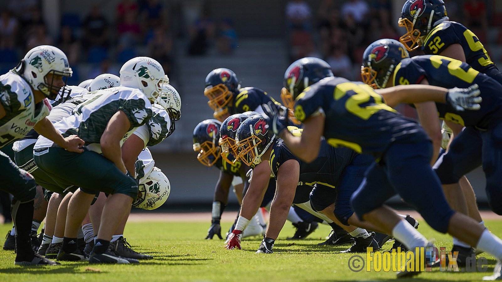 Essen Assindia Cardinals vs. Bielefeld Bulldogs - EssenAssindiaCardinalsVsBielefeldBulldogs