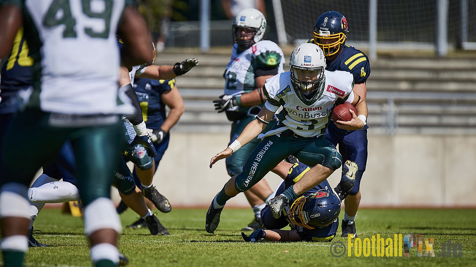 Essen Assindia Cardinals vs. Bielefeld Bulldogs - EssenAssindiaCardinalsVsBielefeldBulldogs