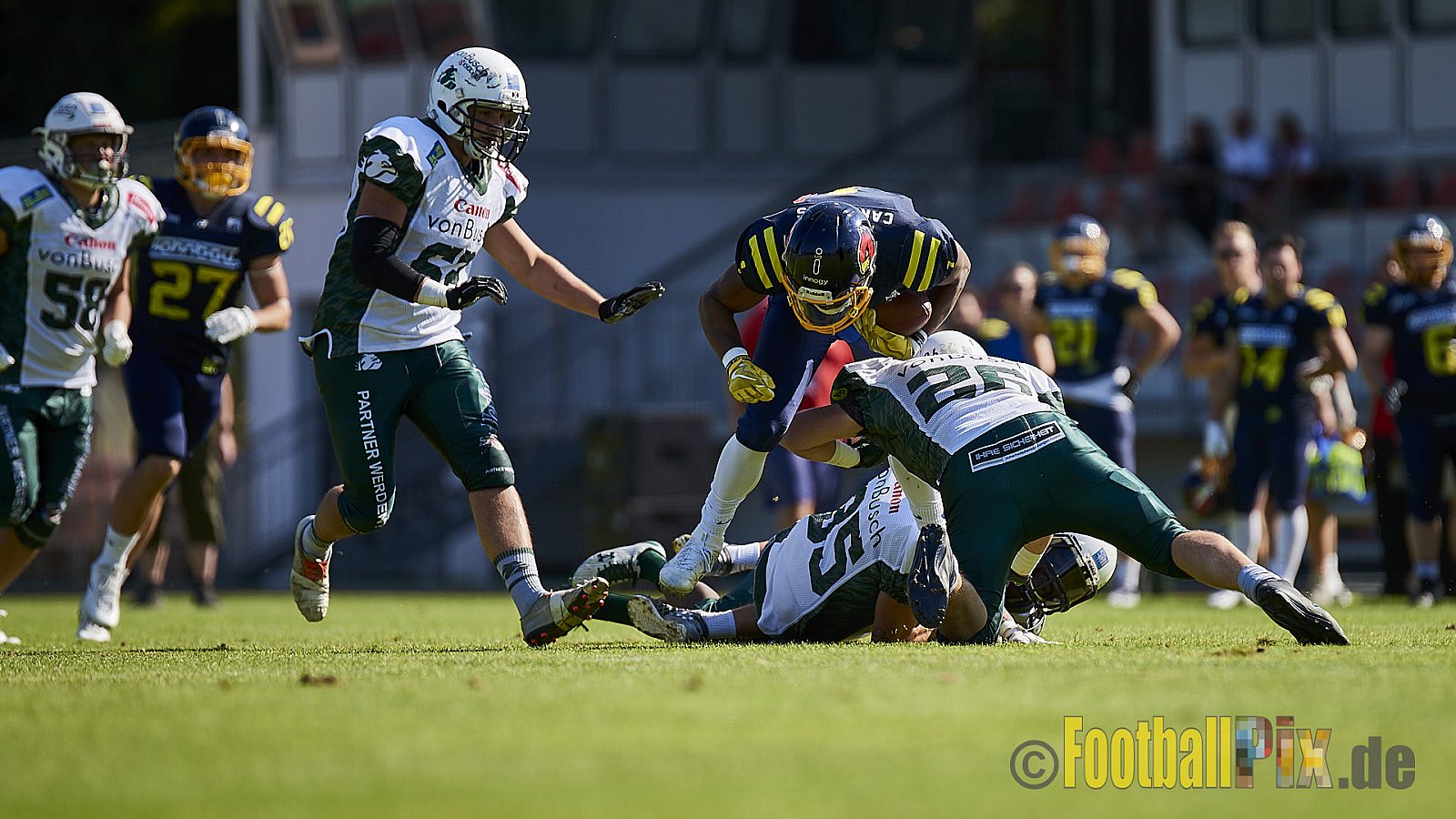 Essen Assindia Cardinals vs. Bielefeld Bulldogs - EssenAssindiaCardinalsVsBielefeldBulldogs