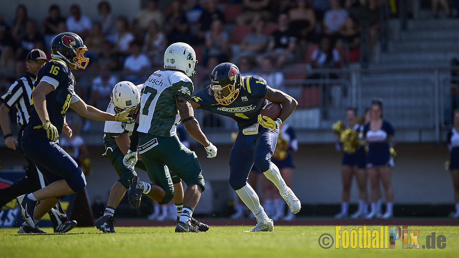 Essen Assindia Cardinals vs. Bielefeld Bulldogs - EssenAssindiaCardinalsVsBielefeldBulldogs