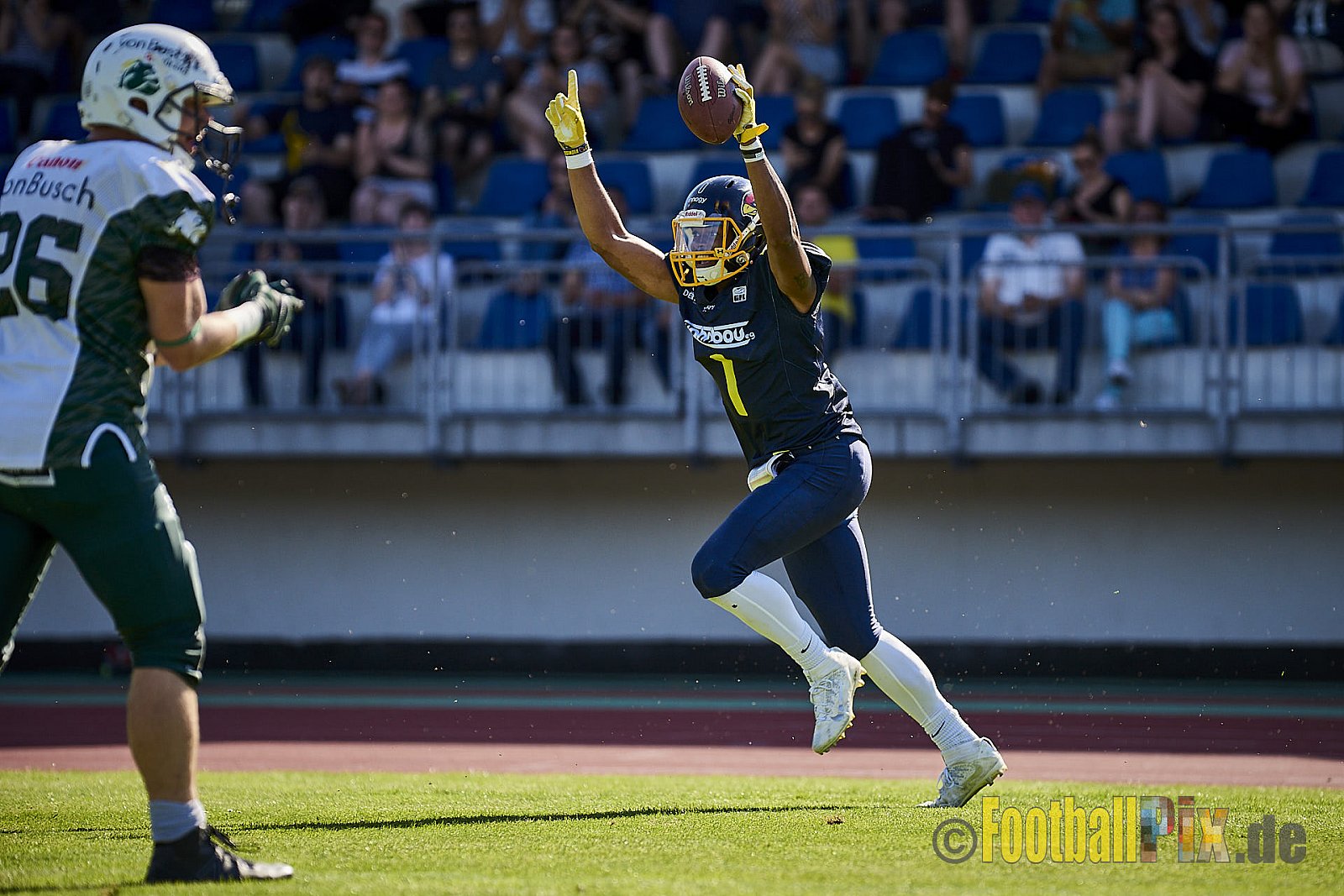 Essen Assindia Cardinals vs. Bielefeld Bulldogs - EssenAssindiaCardinalsVsBielefeldBulldogs