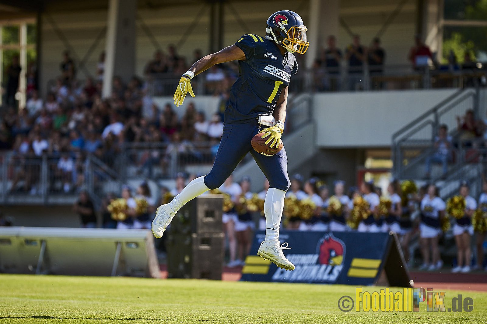 Essen Assindia Cardinals vs. Bielefeld Bulldogs - EssenAssindiaCardinalsVsBielefeldBulldogs