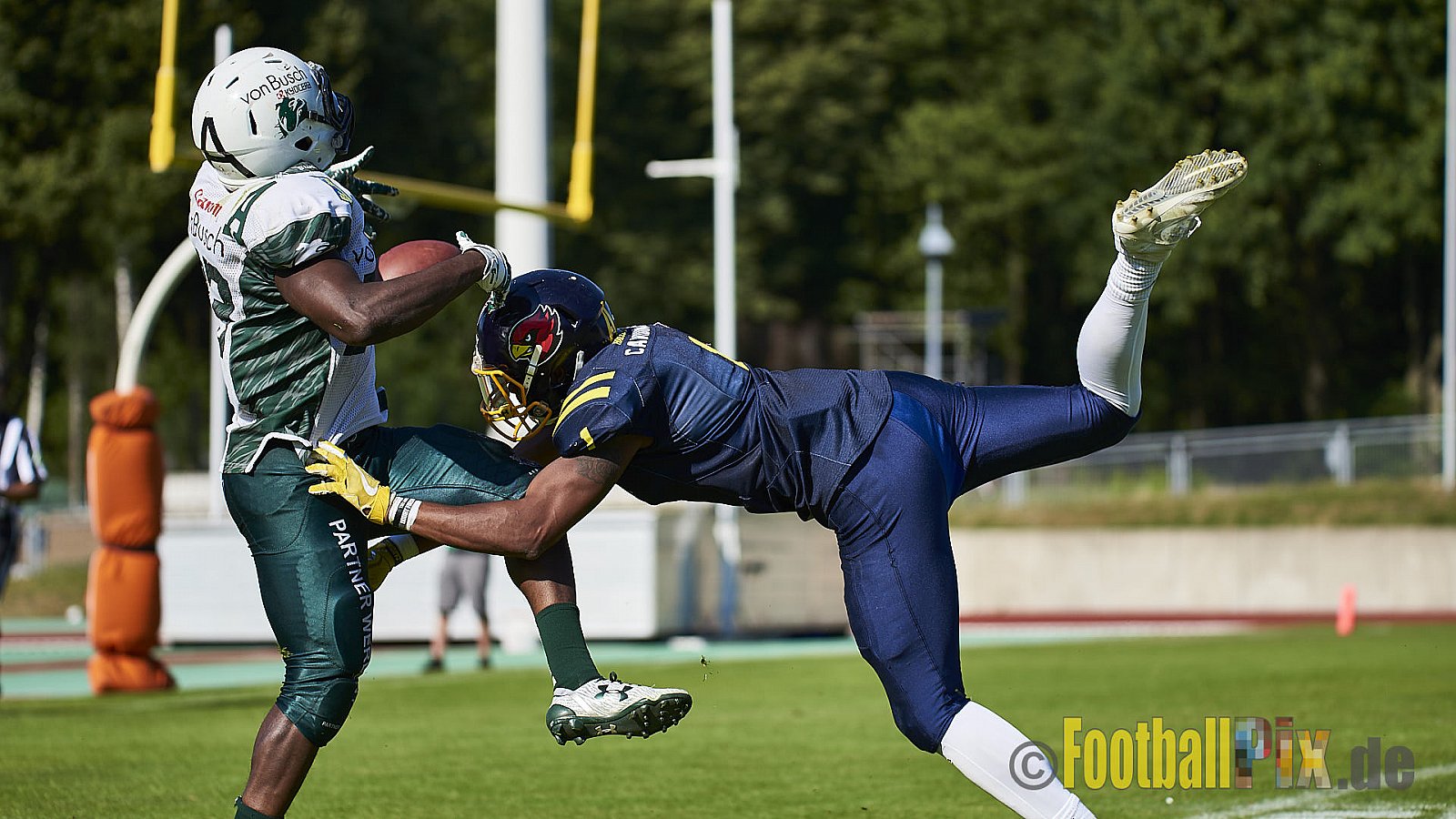 Essen Assindia Cardinals vs. Bielefeld Bulldogs - EssenAssindiaCardinalsVsBielefeldBulldogs