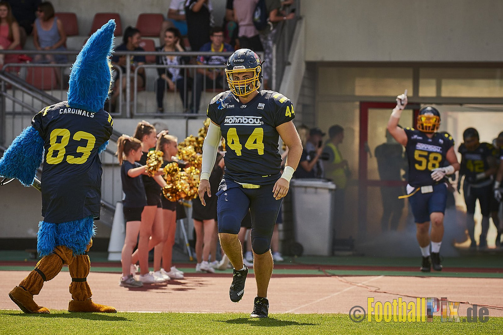 Essen Assindia Cardinals vs. Bonn Gamecocks - EssenAssindiaCardinalsVsBonnGamecocks