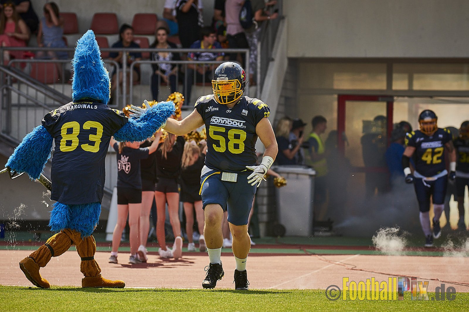 Essen Assindia Cardinals vs. Bonn Gamecocks - EssenAssindiaCardinalsVsBonnGamecocks