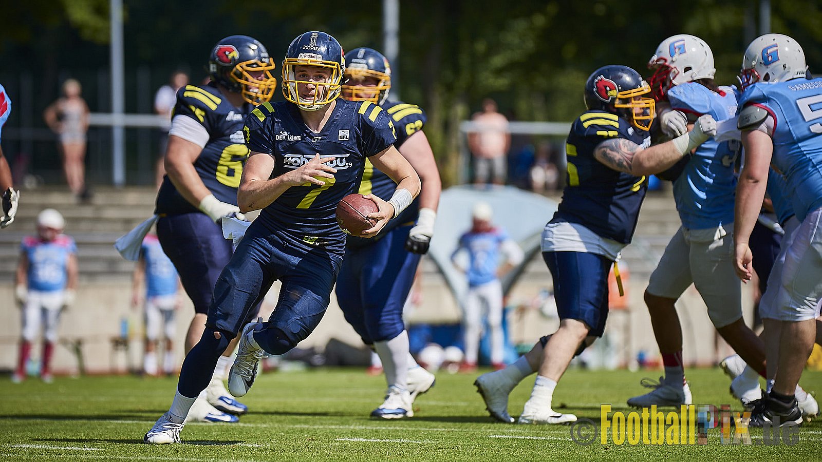 Essen Assindia Cardinals vs. Bonn Gamecocks - EssenAssindiaCardinalsVsBonnGamecocks