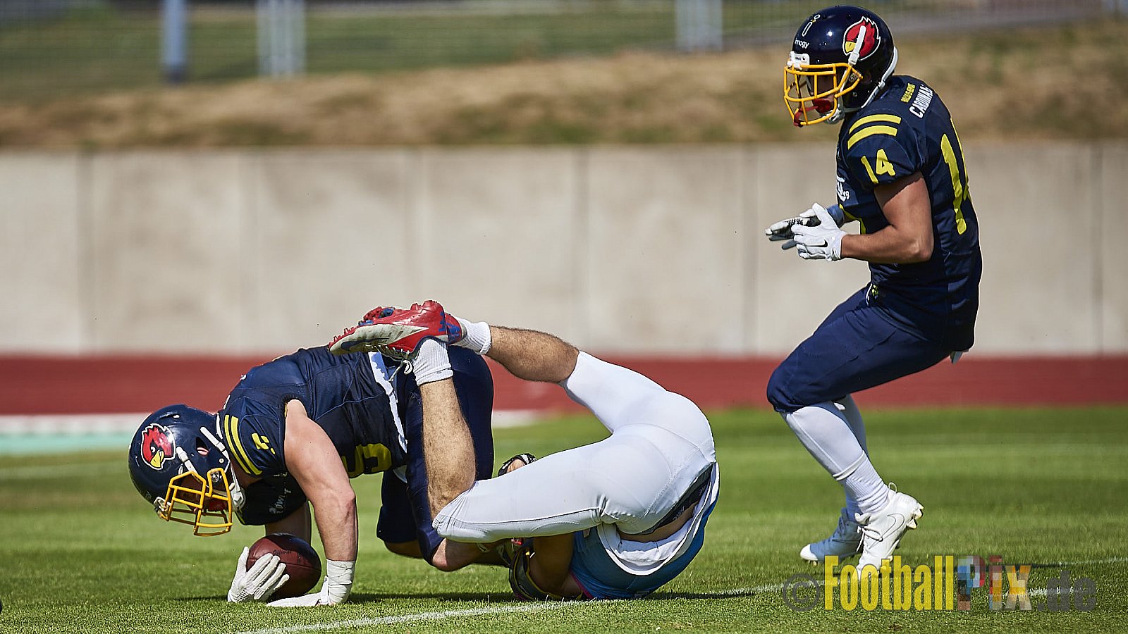 Essen Assindia Cardinals vs. Bonn Gamecocks - EssenAssindiaCardinalsVsBonnGamecocks