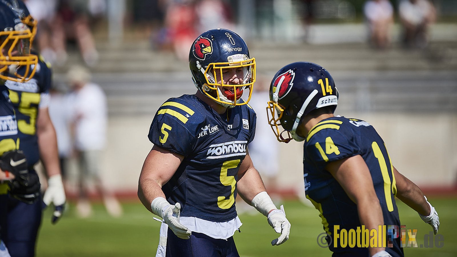 Essen Assindia Cardinals vs. Bonn Gamecocks - EssenAssindiaCardinalsVsBonnGamecocks