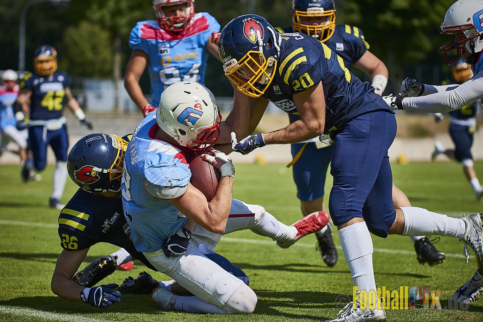 Essen Assindia Cardinals vs. Bonn Gamecocks - EssenAssindiaCardinalsVsBonnGamecocks