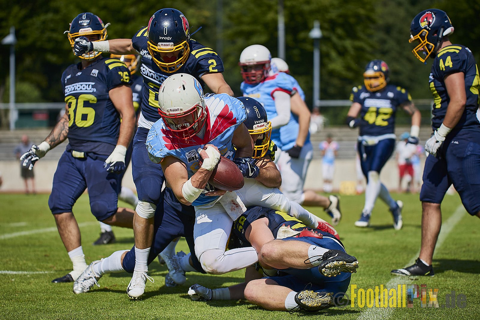 Essen Assindia Cardinals vs. Bonn Gamecocks - EssenAssindiaCardinalsVsBonnGamecocks