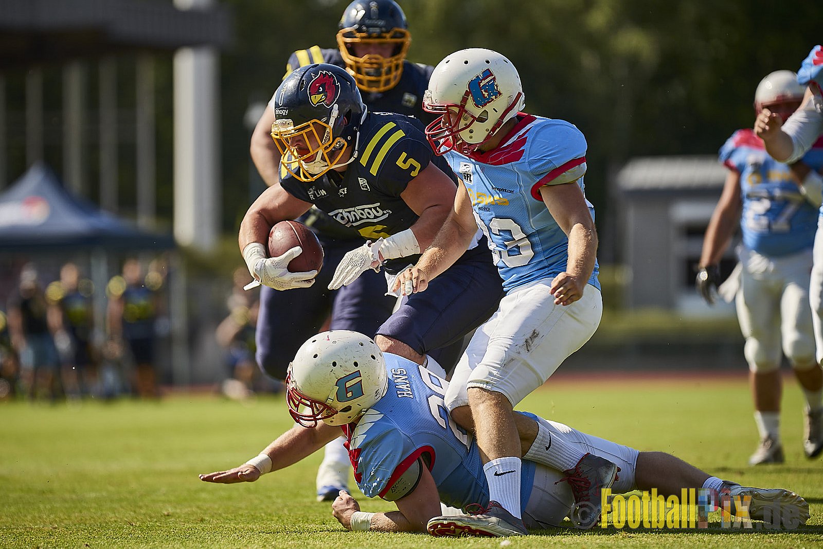 Essen Assindia Cardinals vs. Bonn Gamecocks - EssenAssindiaCardinalsVsBonnGamecocks