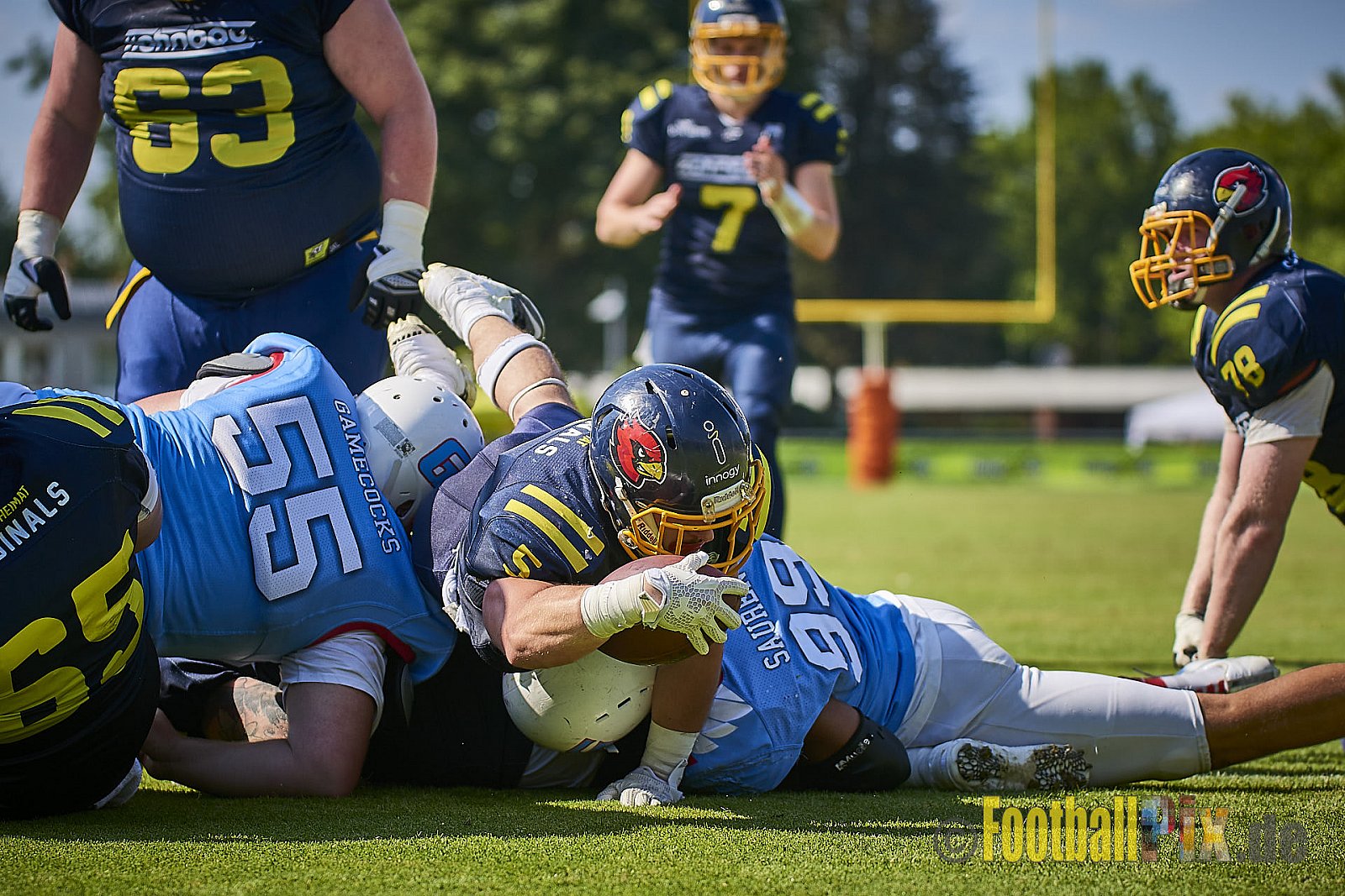 Essen Assindia Cardinals vs. Bonn Gamecocks - EssenAssindiaCardinalsVsBonnGamecocks