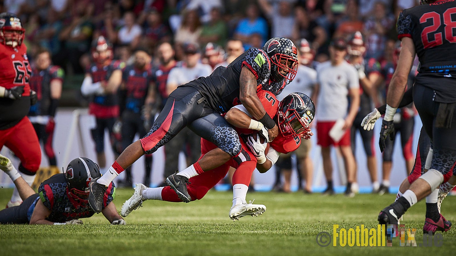 Solingen Paladins vs. Düsseldorf Panther - SolingenPaladinsVsDPanther