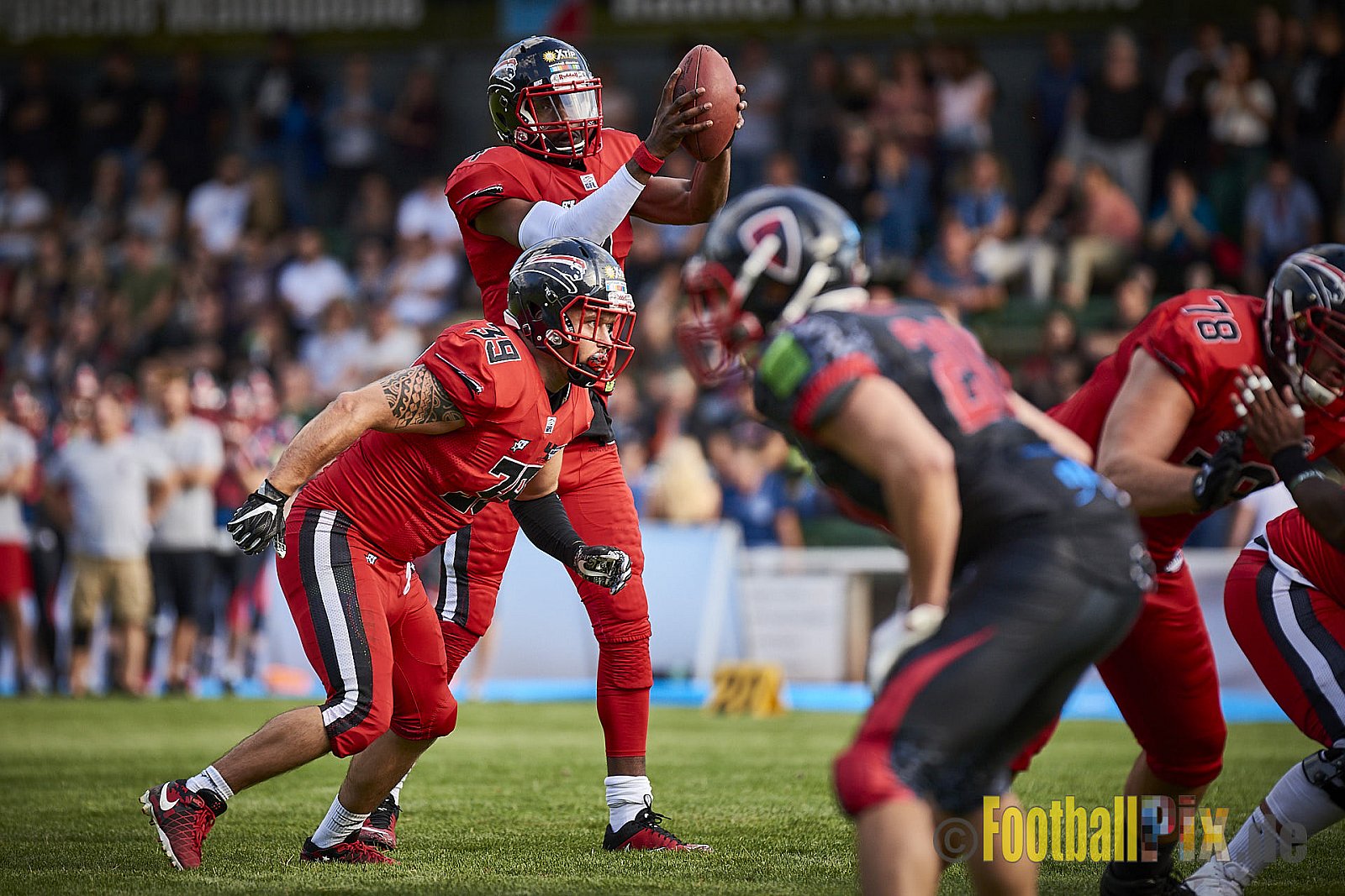 Solingen Paladins vs. Düsseldorf Panther - SolingenPaladinsVsDPanther
