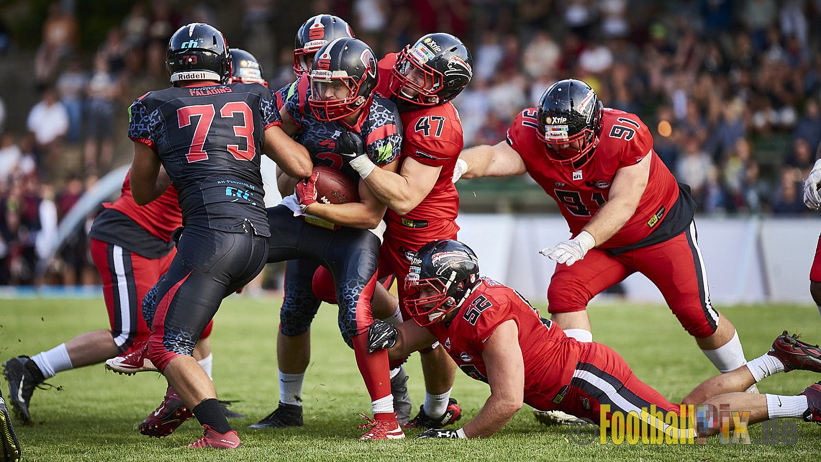 Solingen Paladins vs. Düsseldorf Panther - SolingenPaladinsVsDPanther
