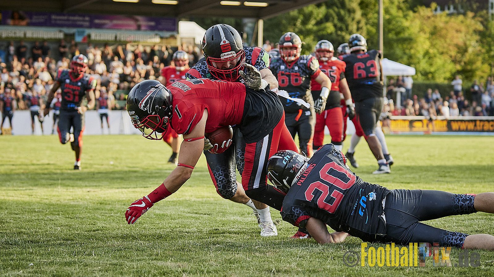 Solingen Paladins vs. Düsseldorf Panther - SolingenPaladinsVsDPanther