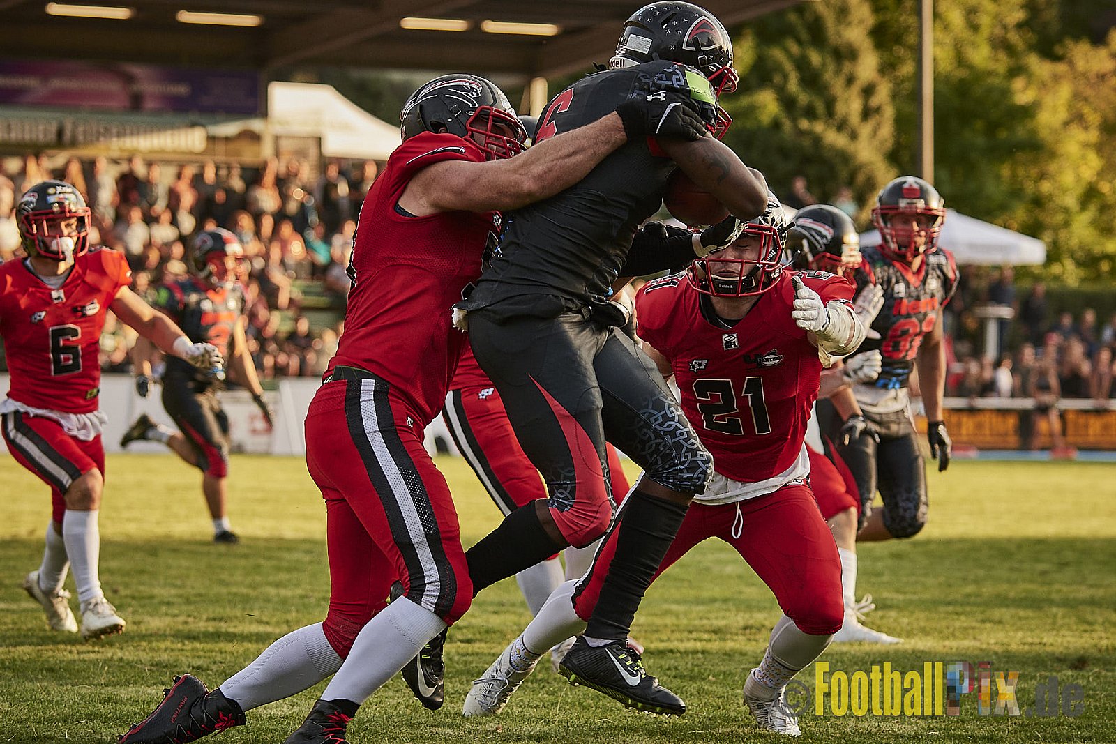 Solingen Paladins vs. Düsseldorf Panther - SolingenPaladinsVsDPanther