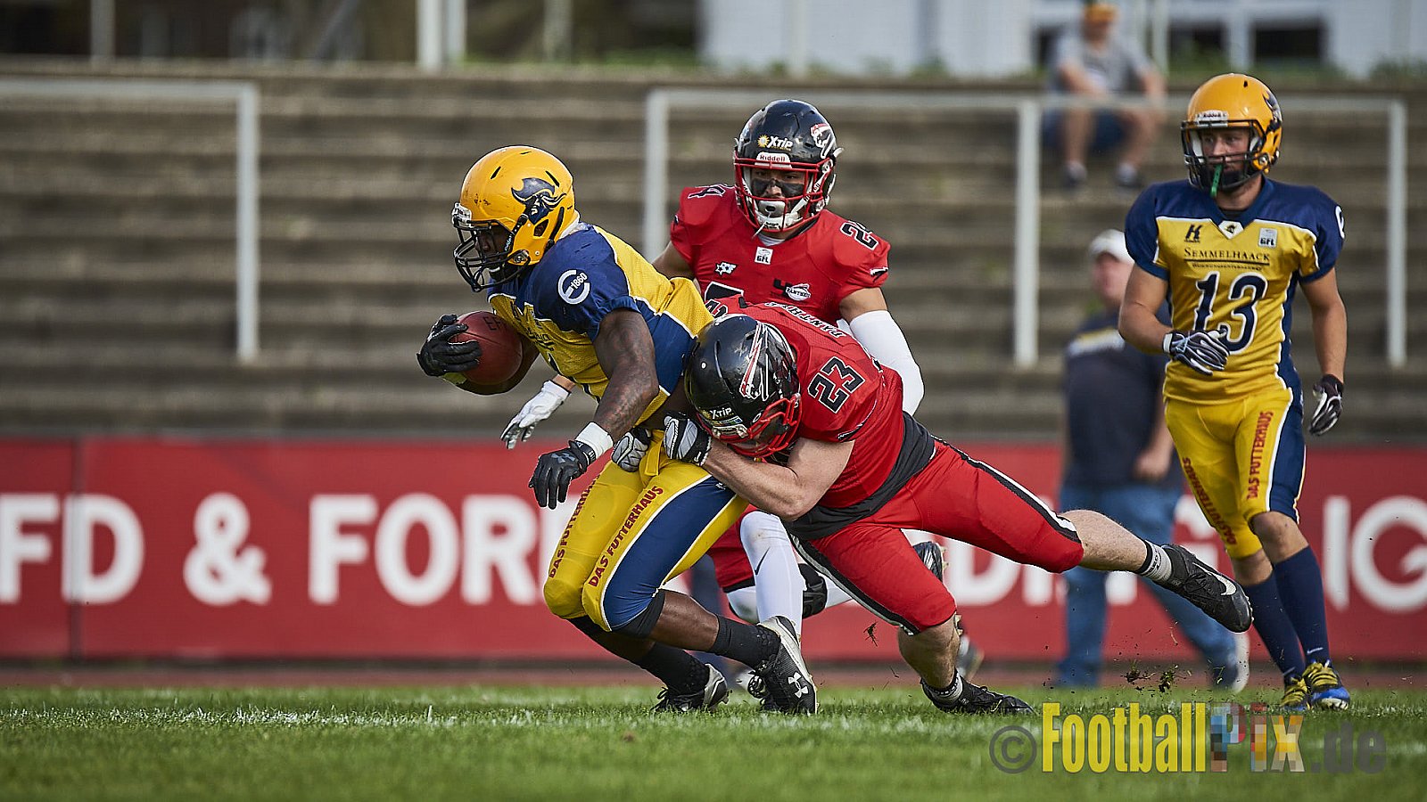 Düsseldorf Panther vs. Elmshorn Fighting Pirates - DPantherVsElmshornFightingPirates
