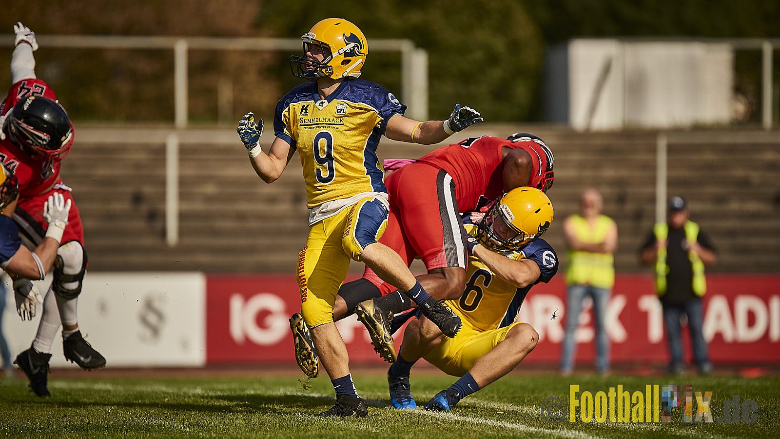 Düsseldorf Panther vs. Elmshorn Fighting Pirates - DPantherVsElmshornFightingPirates