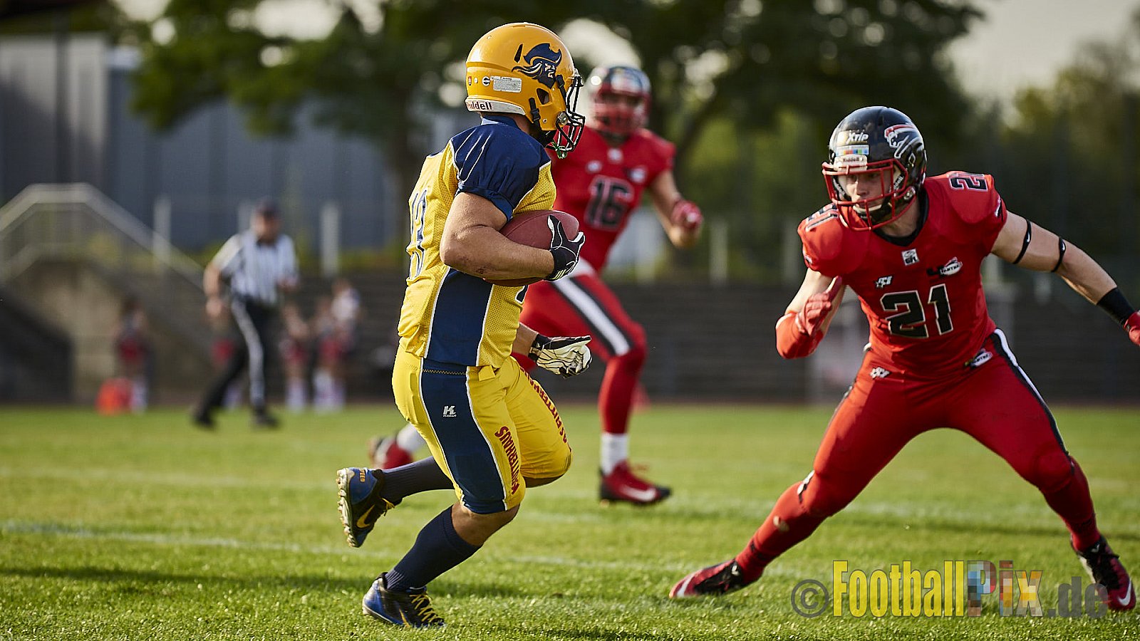 Düsseldorf Panther vs. Elmshorn Fighting Pirates - DPantherVsElmshornFightingPirates