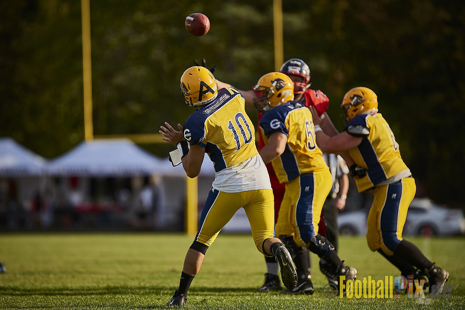 Düsseldorf Panther vs. Elmshorn Fighting Pirates - DPantherVsElmshornFightingPirates