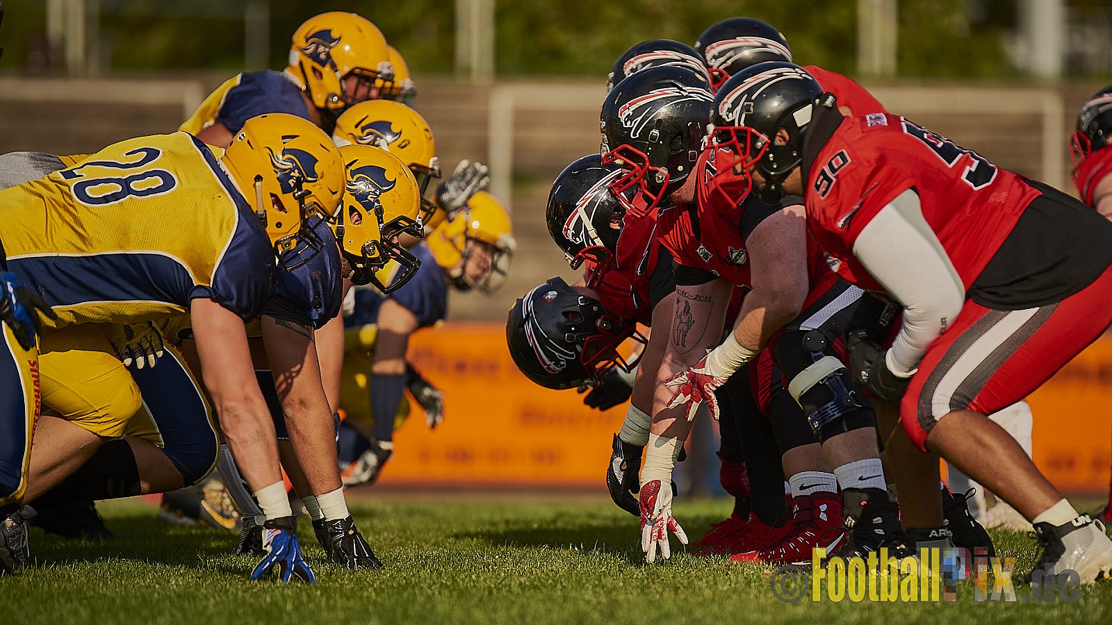 Düsseldorf Panther vs. Elmshorn Fighting Pirates - DPantherVsElmshornFightingPirates
