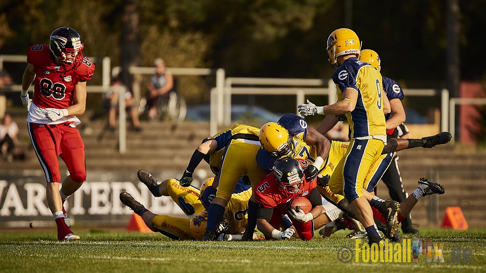 Düsseldorf Panther vs. Elmshorn Fighting Pirates - DPantherVsElmshornFightingPirates