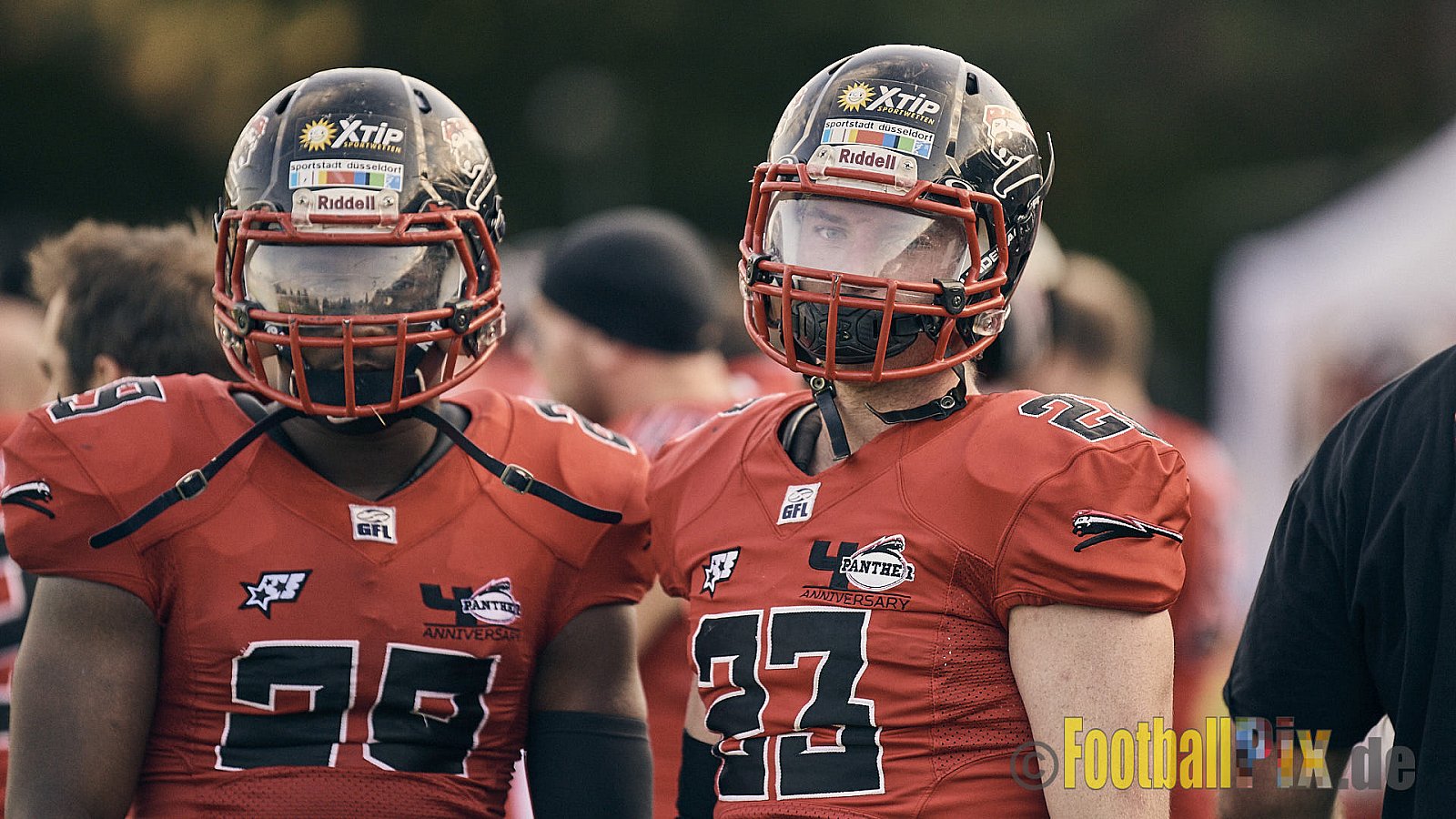 Düsseldorf Panther vs. Elmshorn Fighting Pirates - DPantherVsElmshornFightingPirates