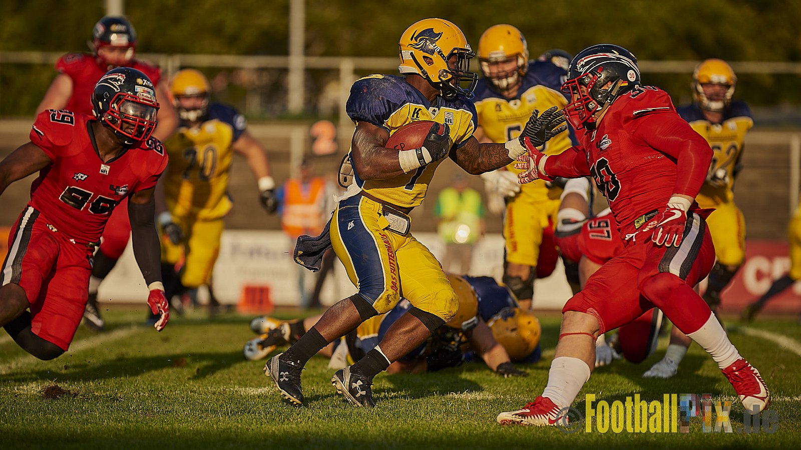 Düsseldorf Panther vs. Elmshorn Fighting Pirates - DPantherVsElmshornFightingPirates