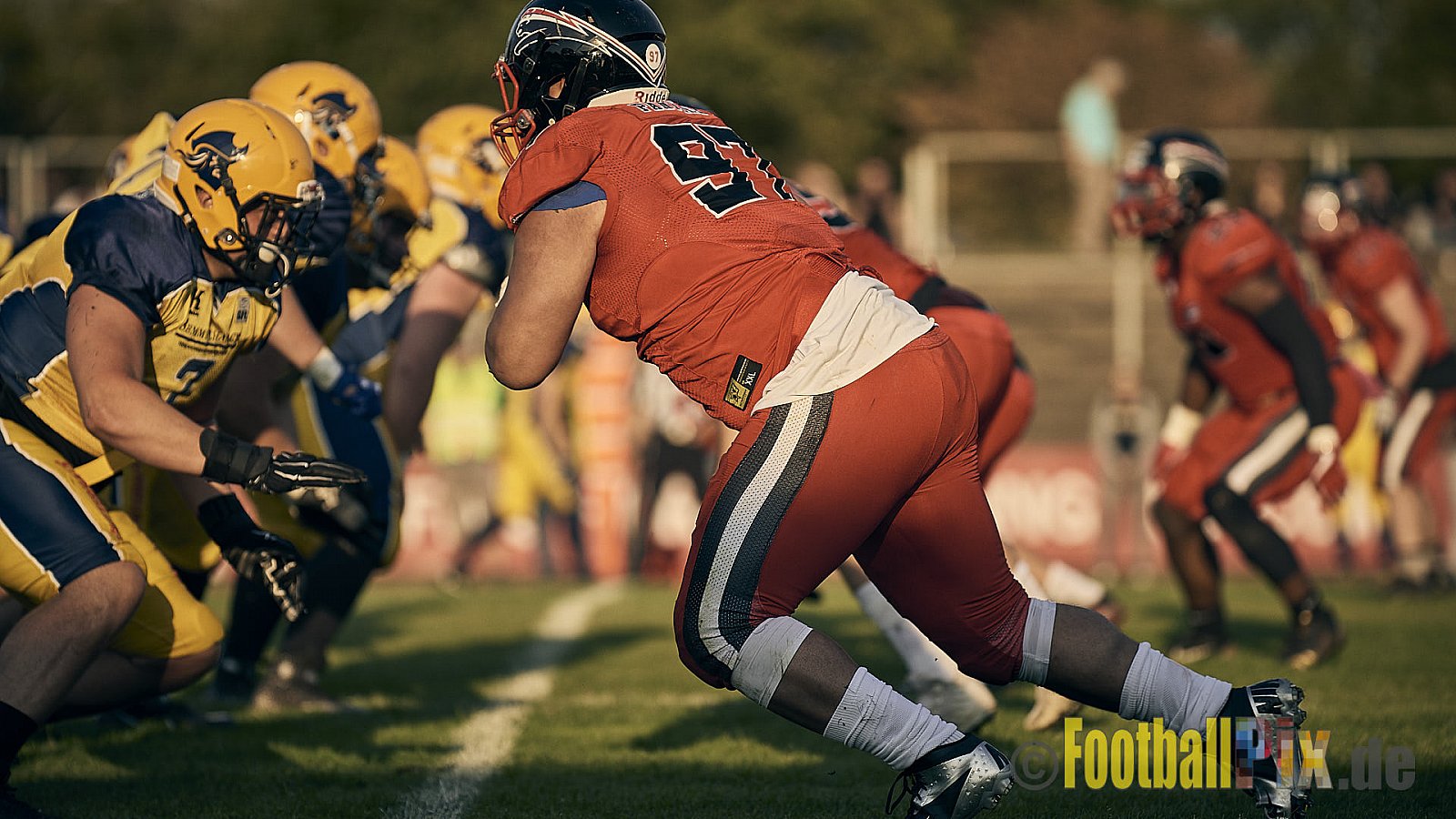Düsseldorf Panther vs. Elmshorn Fighting Pirates - DPantherVsElmshornFightingPirates