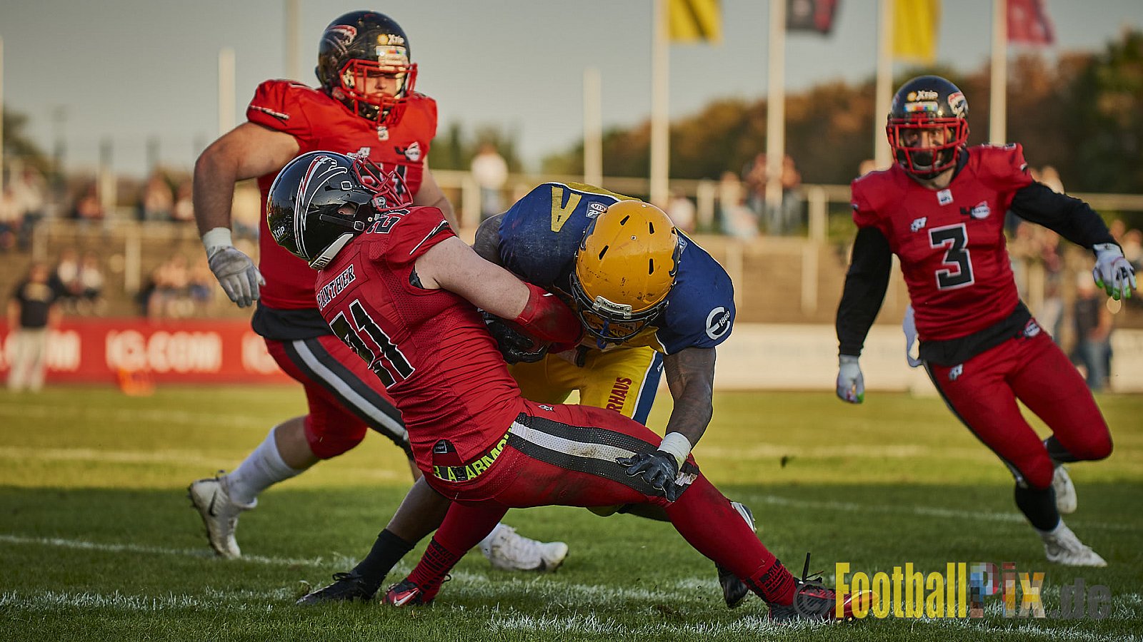 Düsseldorf Panther vs. Elmshorn Fighting Pirates - DPantherVsElmshornFightingPirates
