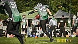 Wuppertal Greyhounds vs. Mülheim Shamrocks - WuppertalGreyhoundsVsMhShamrocks