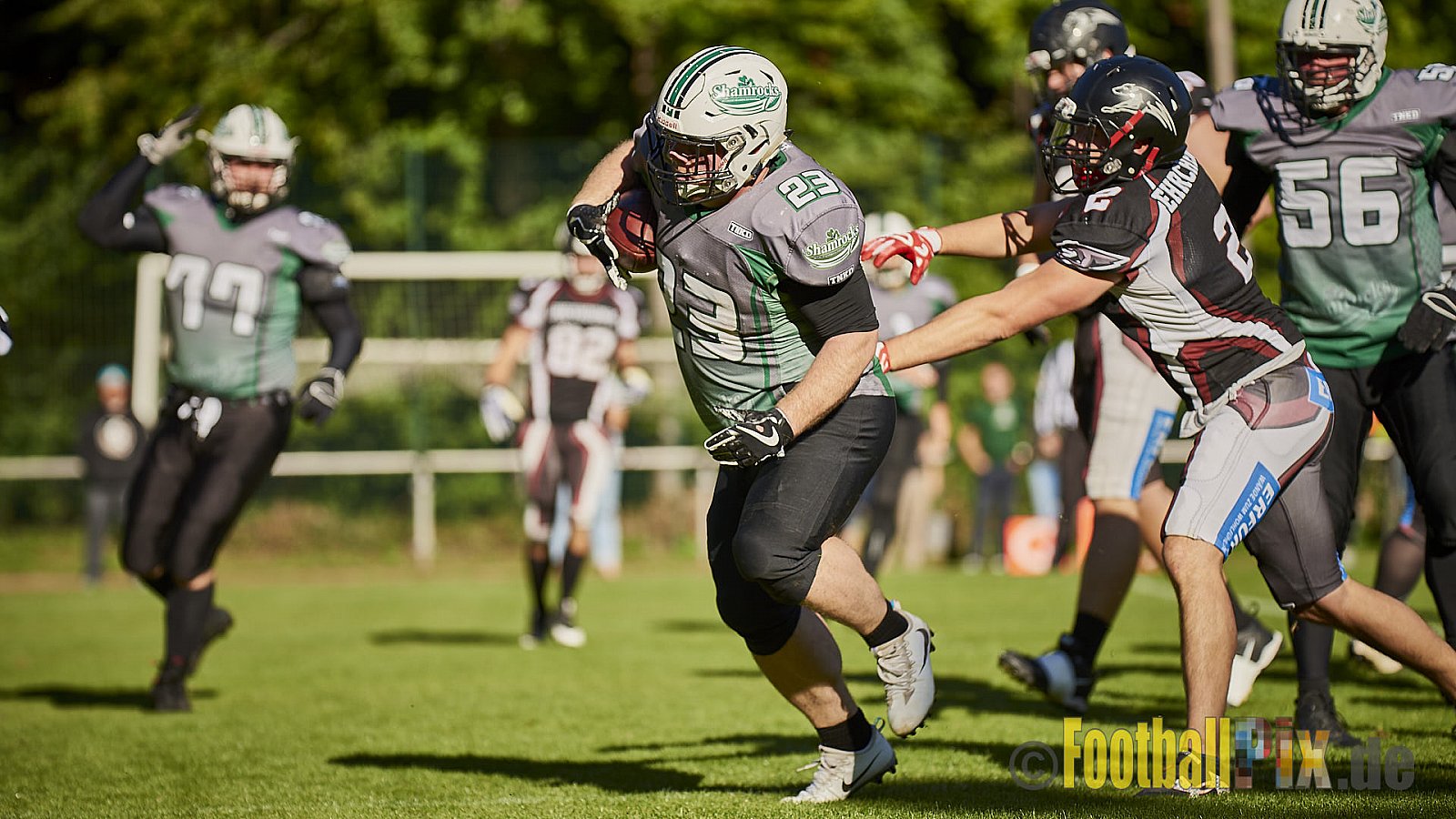 Wuppertal Greyhounds vs. Mülheim Shamrocks - WuppertalGreyhoundsVsMhShamrocks
