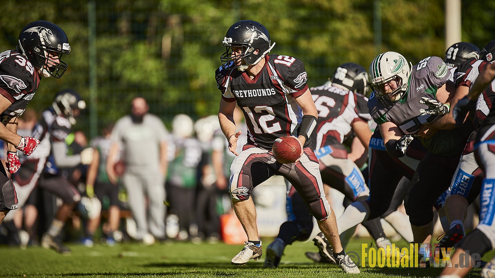 Wuppertal Greyhounds vs. Mülheim Shamrocks - WuppertalGreyhoundsVsMhShamrocks