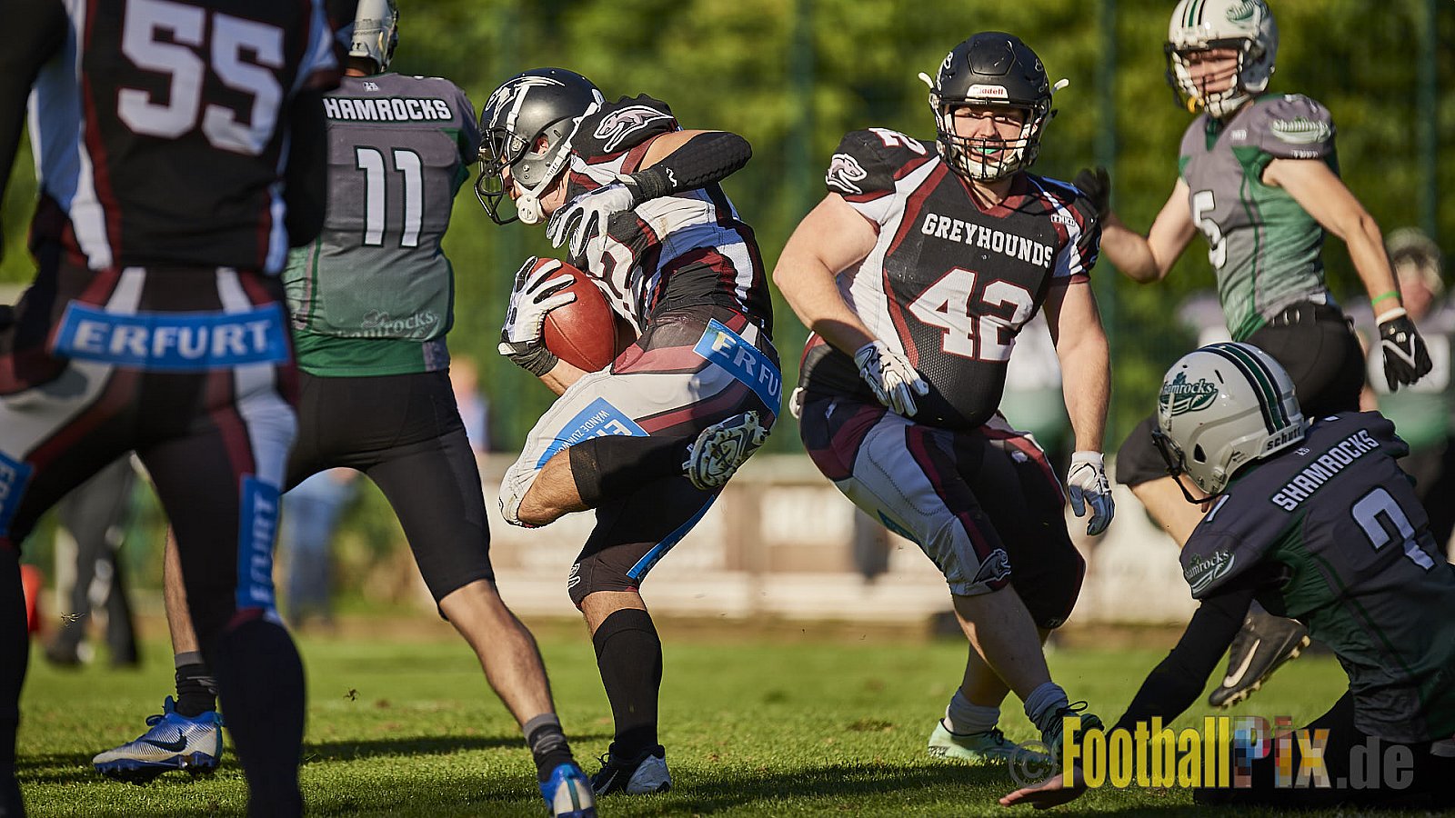 Wuppertal Greyhounds vs. Mülheim Shamrocks - WuppertalGreyhoundsVsMhShamrocks