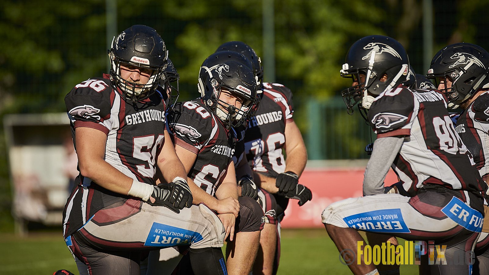Wuppertal Greyhounds vs. Mülheim Shamrocks - WuppertalGreyhoundsVsMhShamrocks