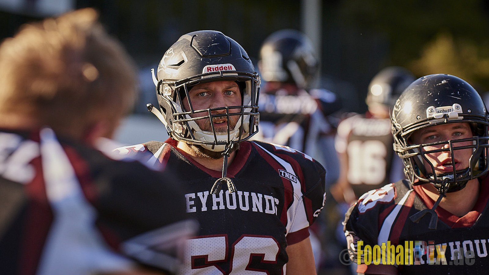 Wuppertal Greyhounds vs. Mülheim Shamrocks - WuppertalGreyhoundsVsMhShamrocks