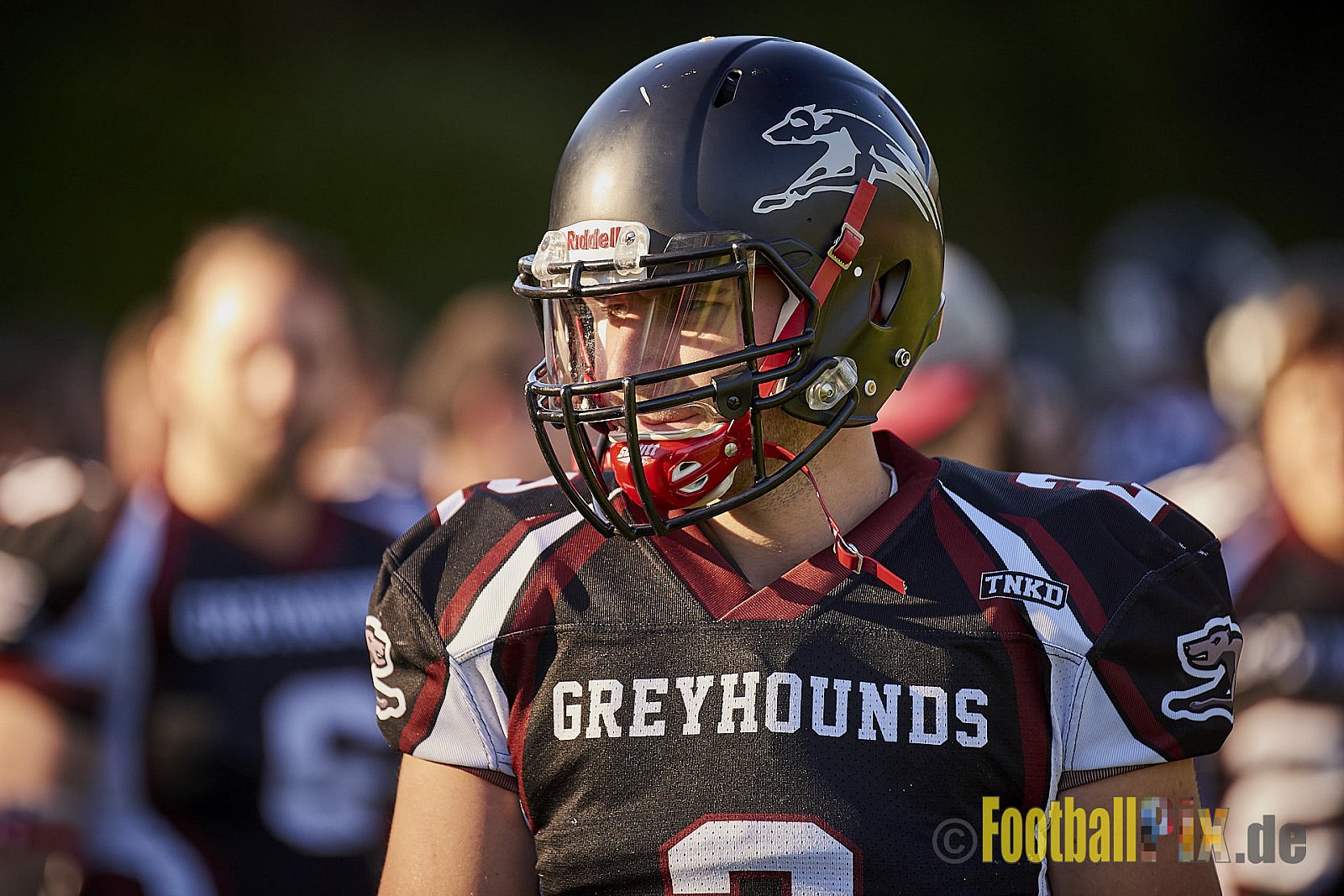 Wuppertal Greyhounds vs. Mülheim Shamrocks - WuppertalGreyhoundsVsMhShamrocks