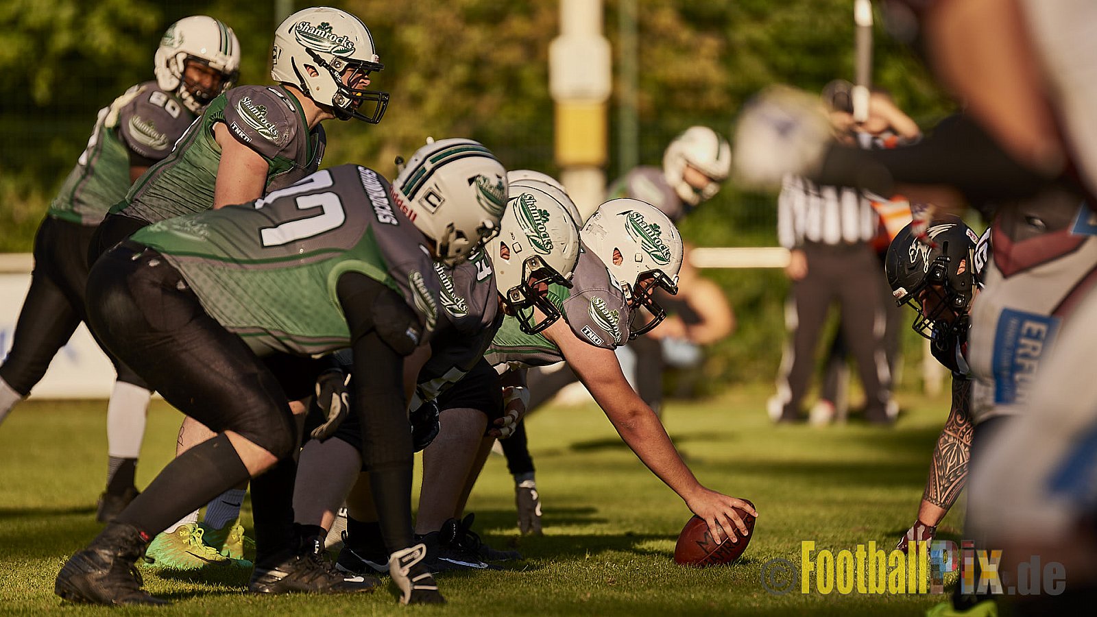 Wuppertal Greyhounds vs. Mülheim Shamrocks - WuppertalGreyhoundsVsMhShamrocks
