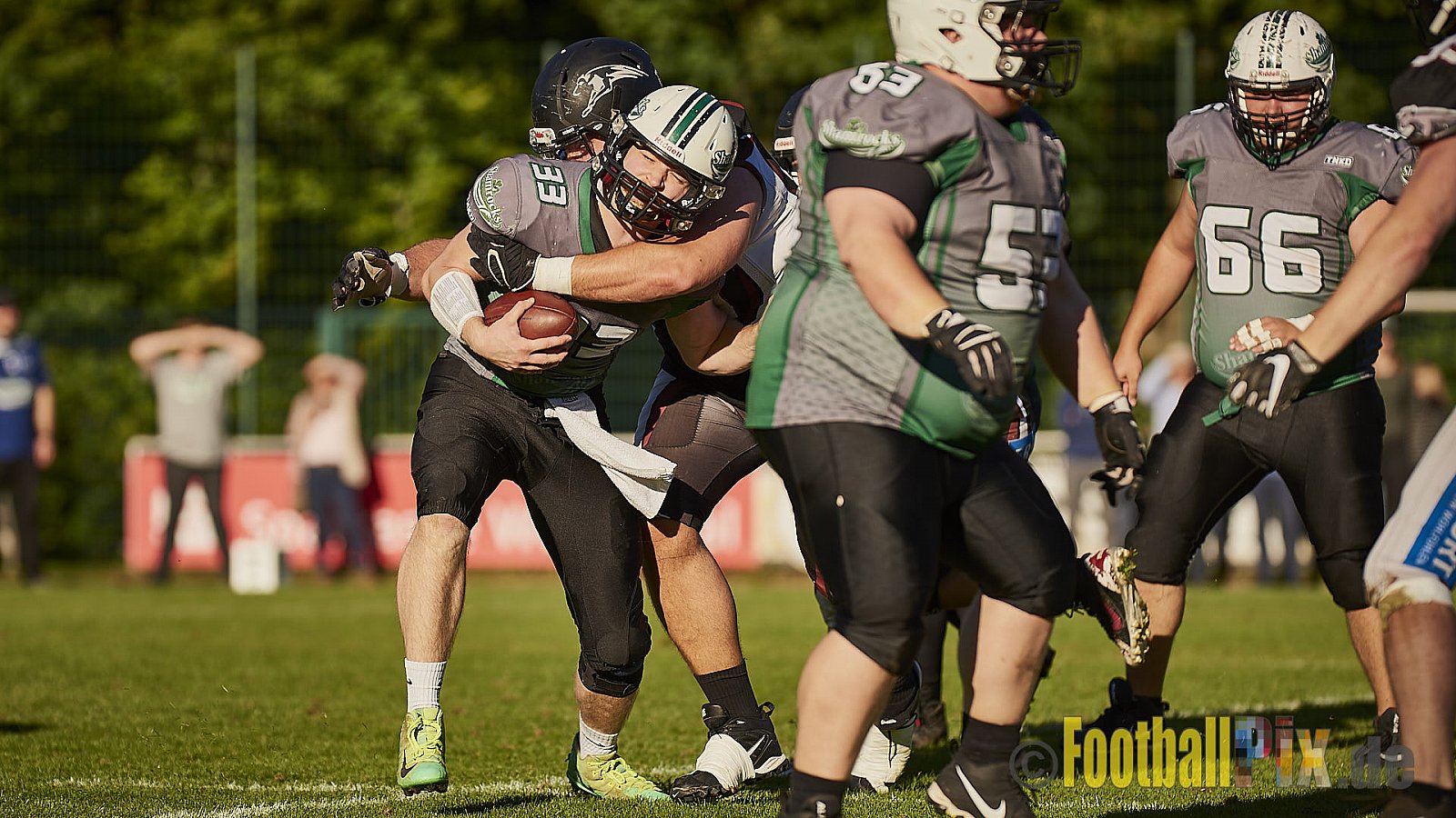 Wuppertal Greyhounds vs. Mülheim Shamrocks - WuppertalGreyhoundsVsMhShamrocks