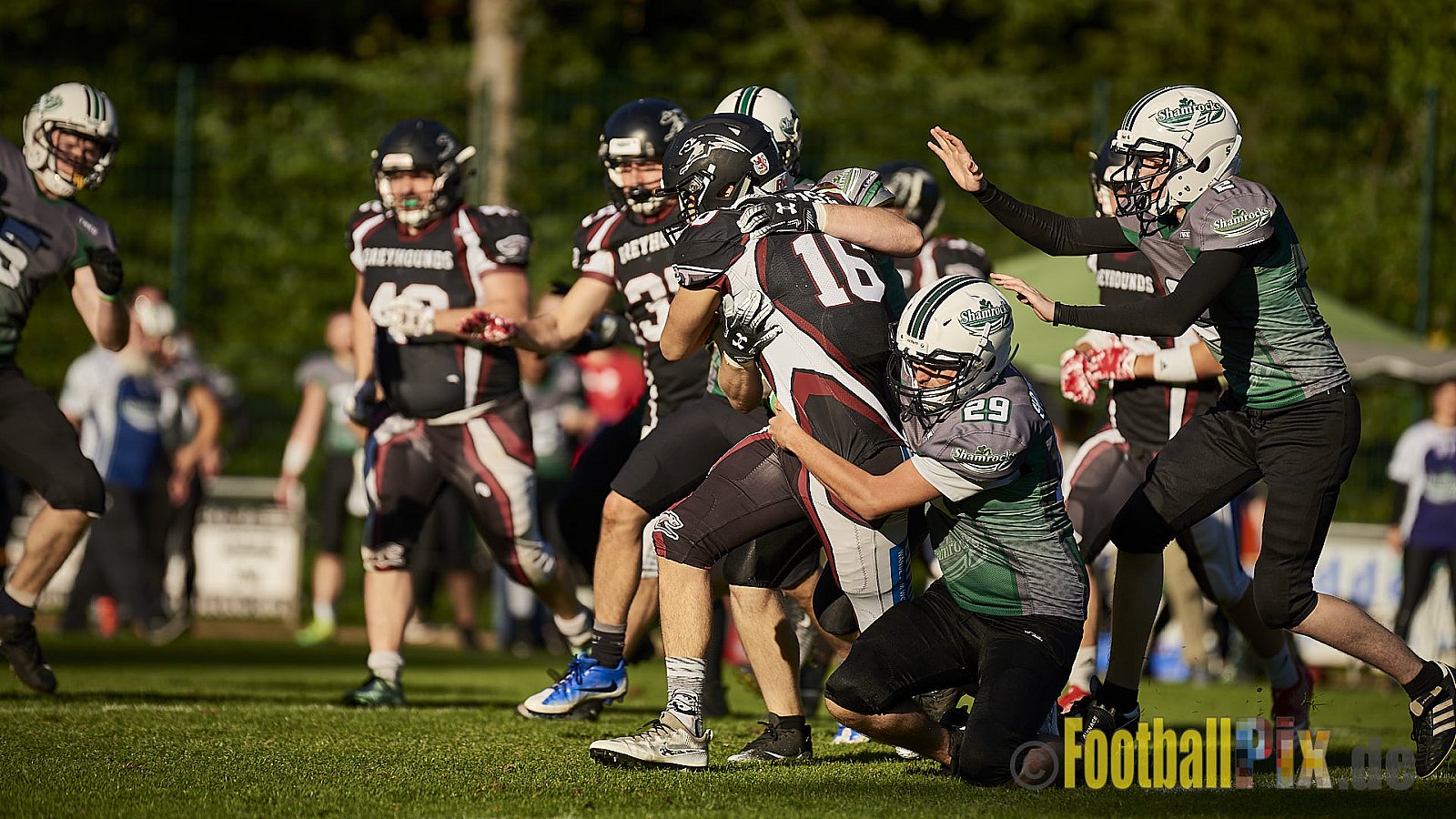 Wuppertal Greyhounds vs. Mülheim Shamrocks - WuppertalGreyhoundsVsMhShamrocks