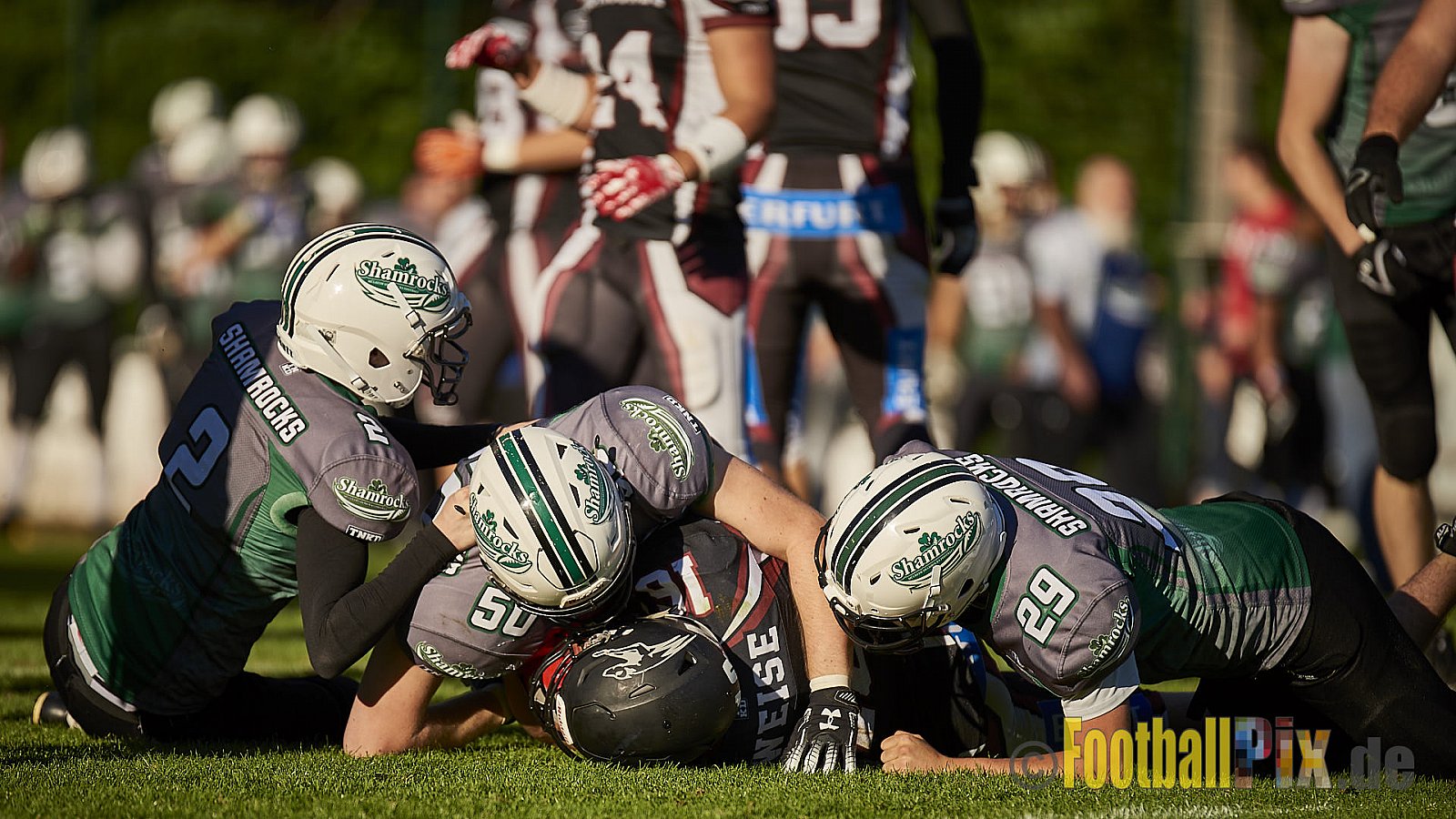 Wuppertal Greyhounds vs. Mülheim Shamrocks - WuppertalGreyhoundsVsMhShamrocks