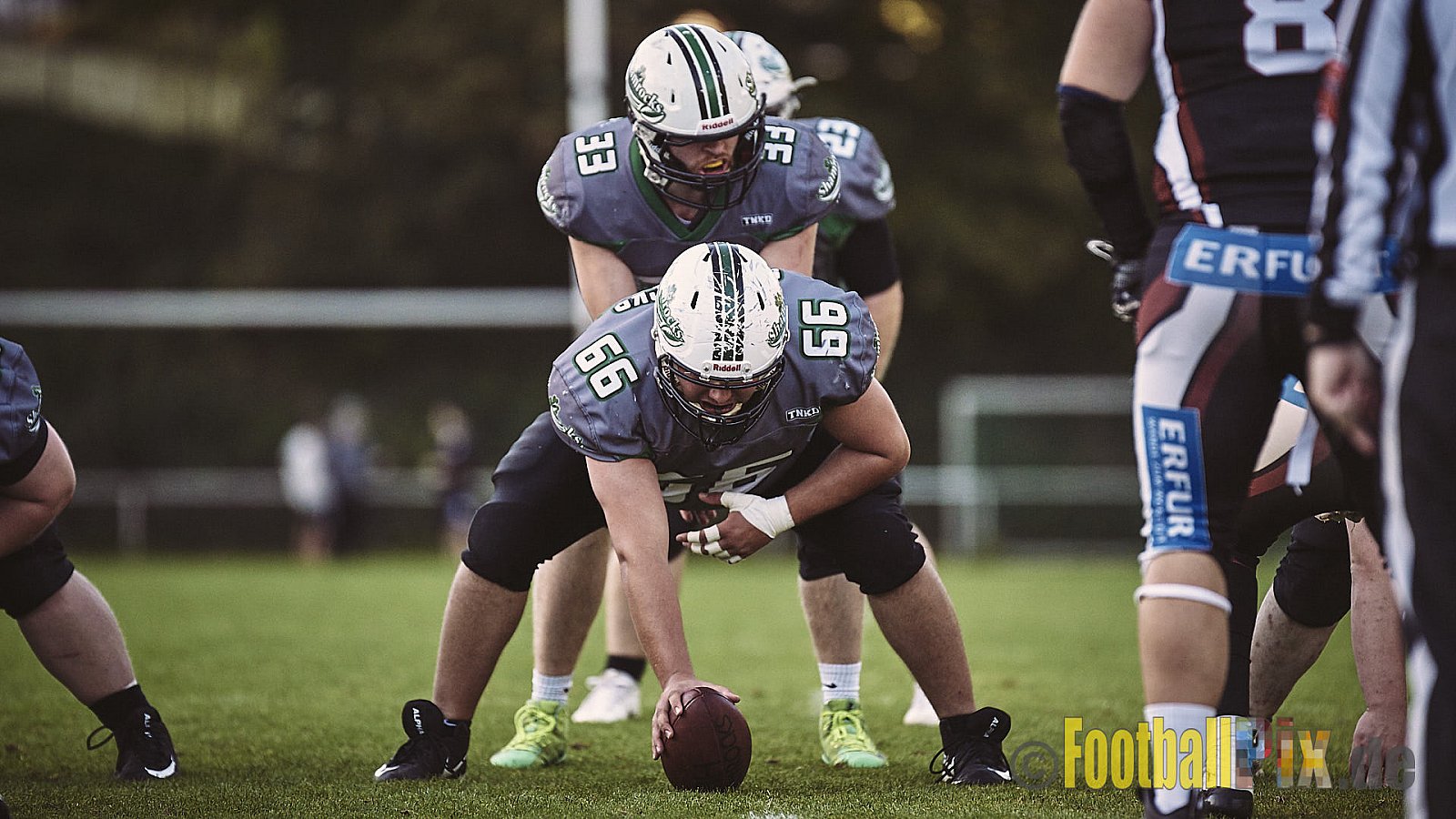 Wuppertal Greyhounds vs. Mülheim Shamrocks - WuppertalGreyhoundsVsMhShamrocks