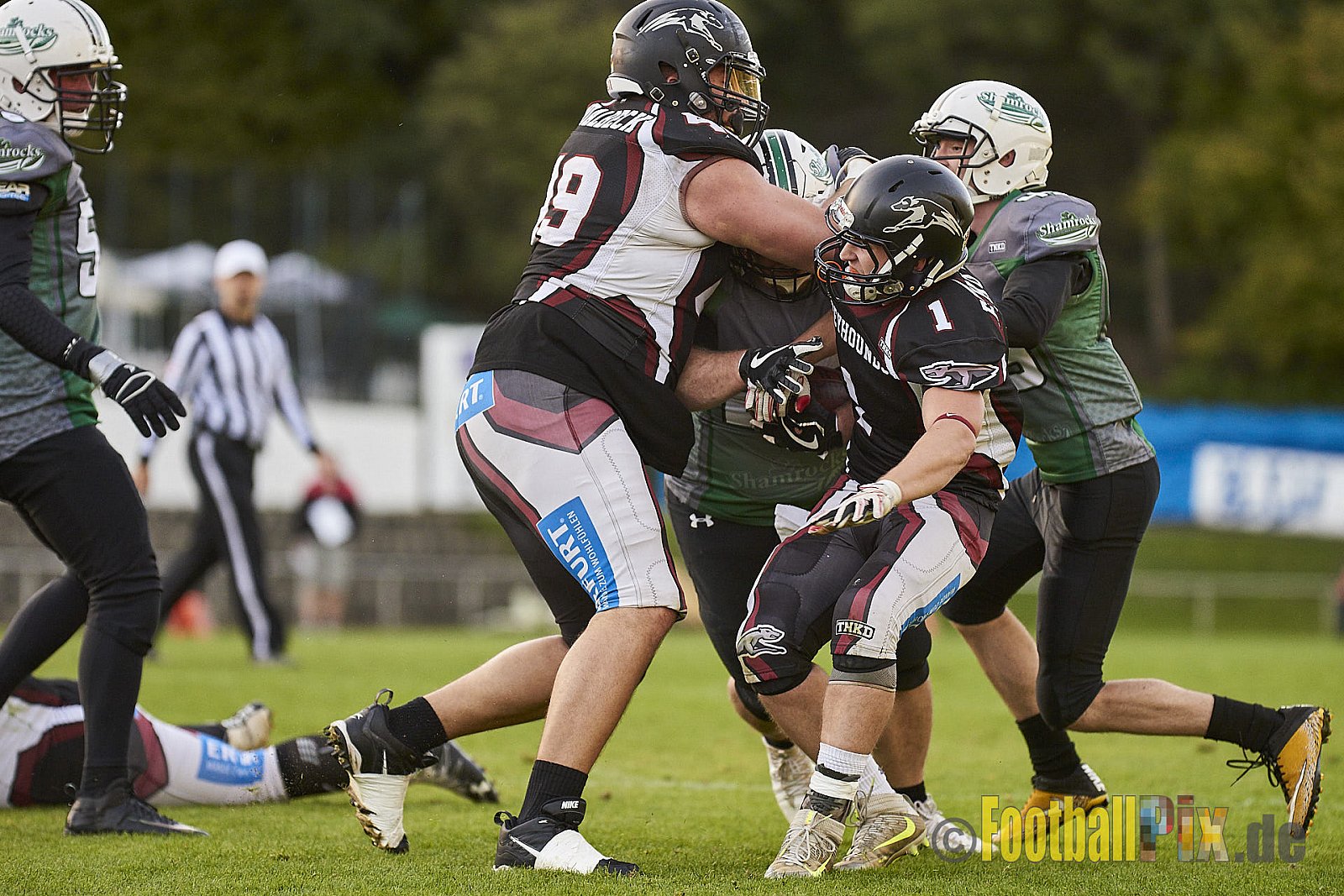 Wuppertal Greyhounds vs. Mülheim Shamrocks - WuppertalGreyhoundsVsMhShamrocks