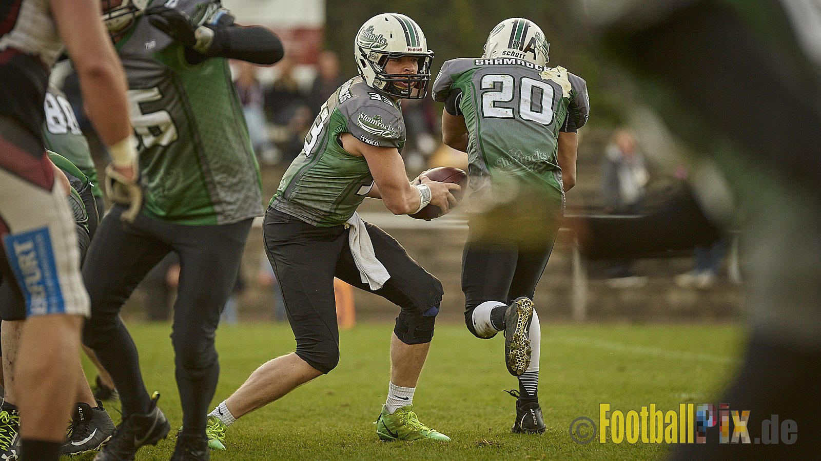 Wuppertal Greyhounds vs. Mülheim Shamrocks - WuppertalGreyhoundsVsMhShamrocks